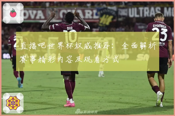 直播吧世界杯权威推荐：全面解析赛事精彩内容及观看方式